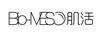 BIO-MESO Logo