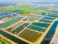 鳌鼓湿地展示图片2