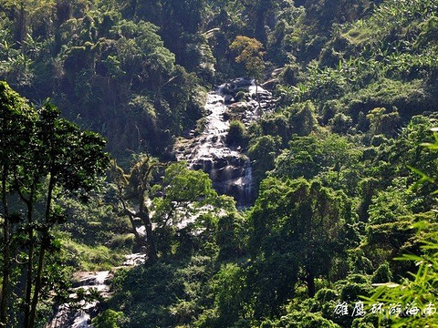 百花岭生态旅游区展示图片2