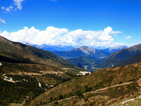 白马雪山展示图片4