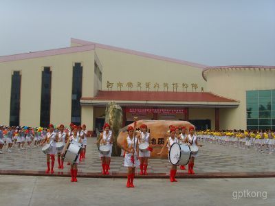 宝天曼自然博物馆展示图片2