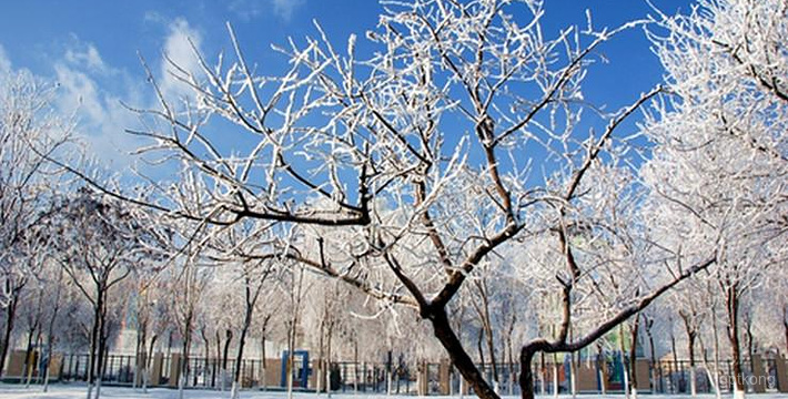 查干湖滑雪场展示图片0