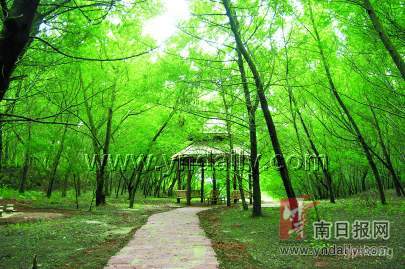 长虫山生态公园展示图片0