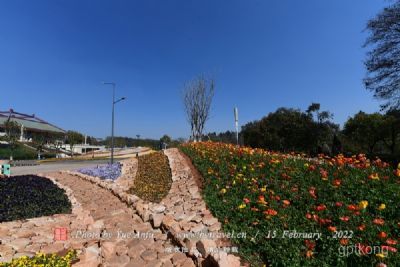 成都市国际非物质文化遗产博览园旅游景区展示图片1