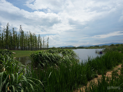 呈贡·滇池生态湿地公园展示图片3