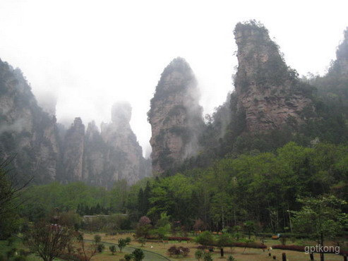 大氧吧广场展示图片2