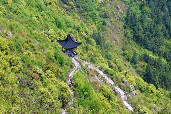 大阳山国家森林公园展示图片2