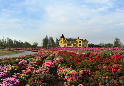 大云旅游度假村展示图片2