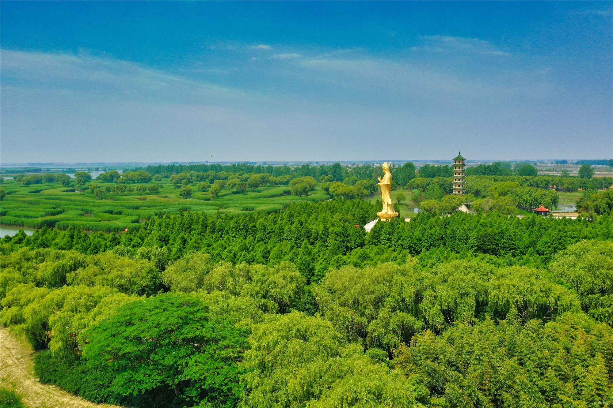 大纵湖湿地展示图片2