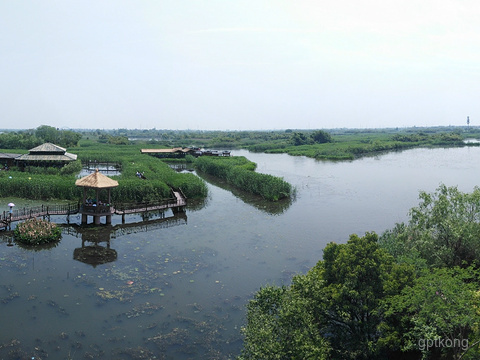 德清下渚湖湿地公园展示图片0