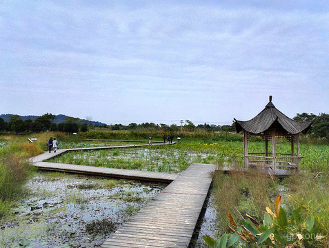 德清下渚湖湿地公园展示图片2