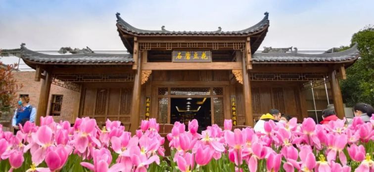 垫江牡丹樱花世界展示图片0