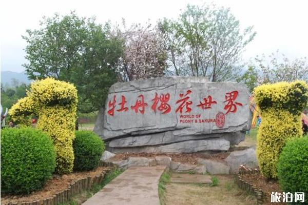 垫江牡丹樱花世界展示图片5