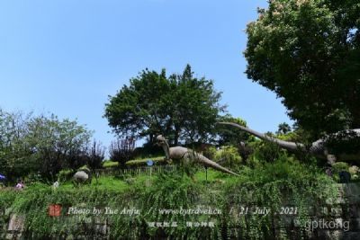 恐龙大本营展示图片7