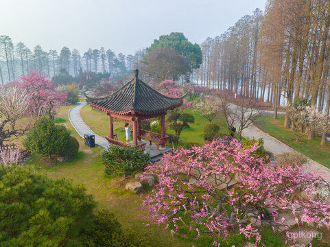 东湖磨山景区展示图片4