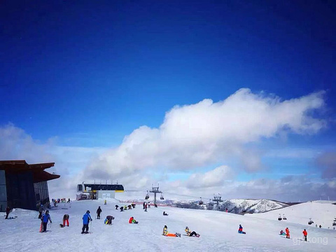 东山峰云顶滑雪场展示图片0