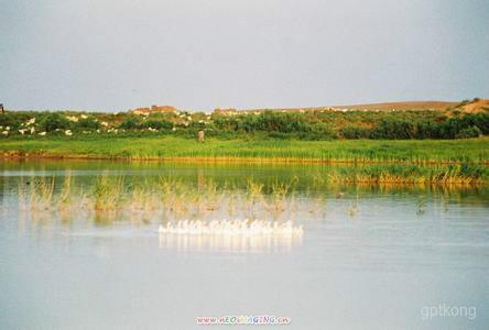 敦煌西湖湿地风景区展示图片3