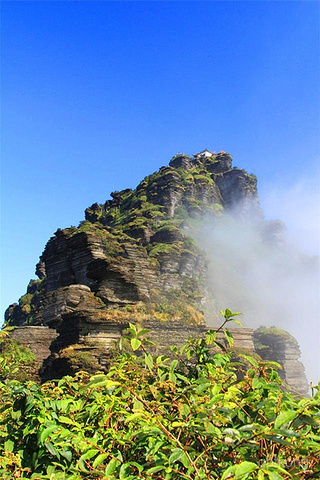 梵净山生态植物园展示图片2