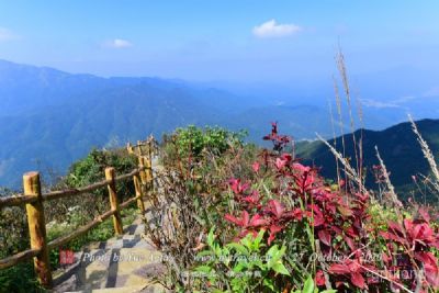 福建东山国家级森林公园展示图片2