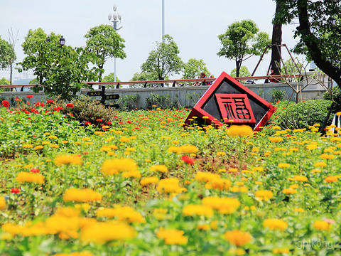 花海公园展示图片1