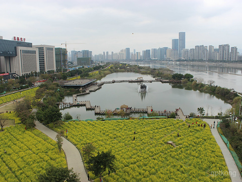 花海公园展示图片2