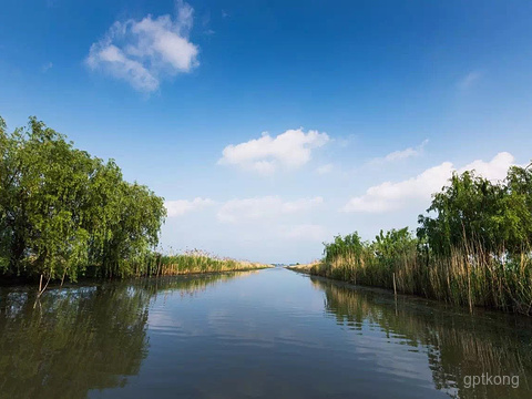 高邮湖芦苇荡湿地公园展示图片0