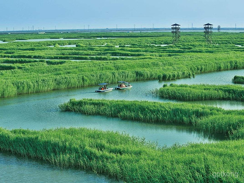 高邮湖芦苇荡湿地公园展示图片1