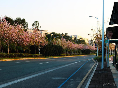 广州大学城展示图片4