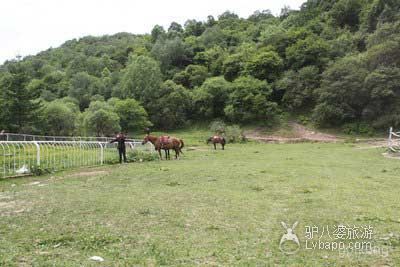 关山森林公园展示图片0