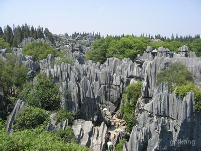 圭山国家森林公园展示图片0