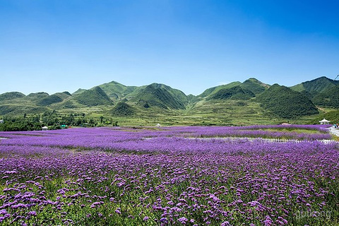 韭菜坪展示图片1