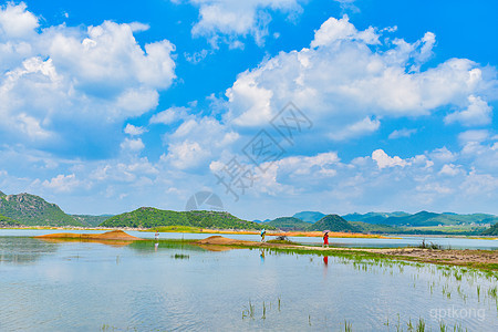 海峰湿地展示图片2