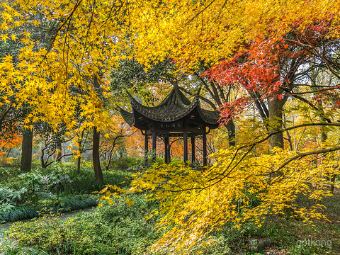 杭州植物园展示图片1