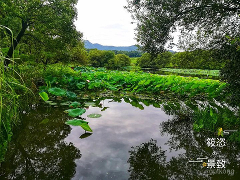 杭州花圃展示图片2