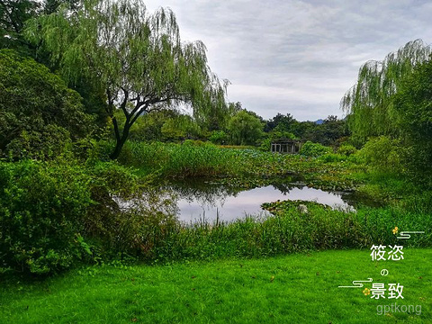 杭州花圃展示图片4