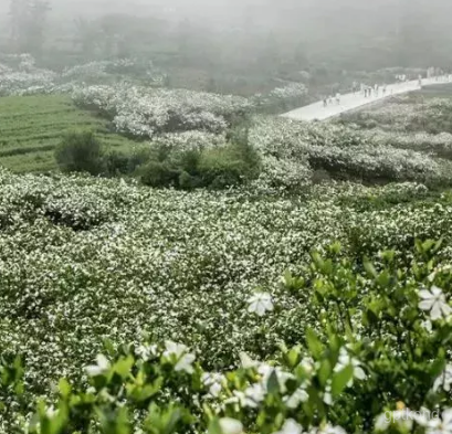 含山旅游区展示图片6