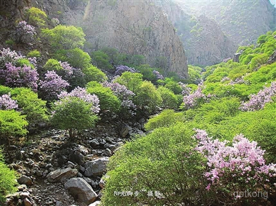 贺兰山风景区展示图片4