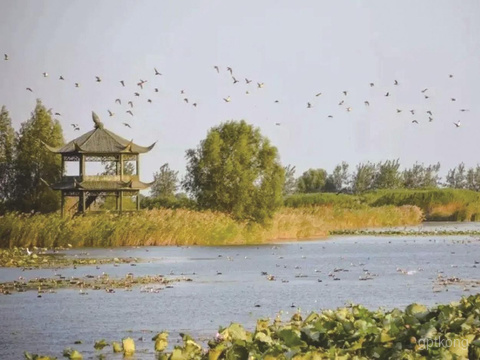 洪泽湖湿地观鸟园展示图片3