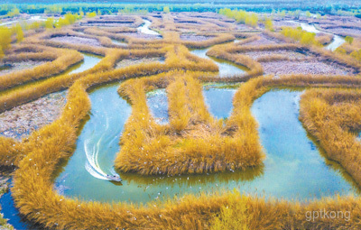 洪泽湖湿地观鸟园展示图片4