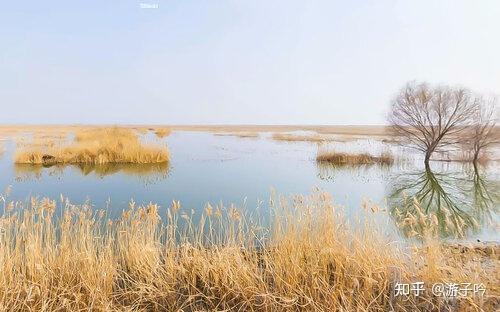 洪泽湖湿地温泉度假村展示图片7