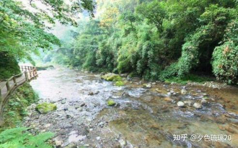 后河原始生态旅游区展示图片6