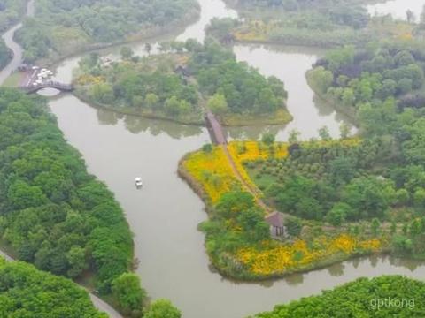 黄天荡湿地公园展示图片0