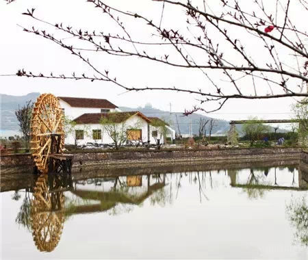 欢乐佳田农场展示图片4