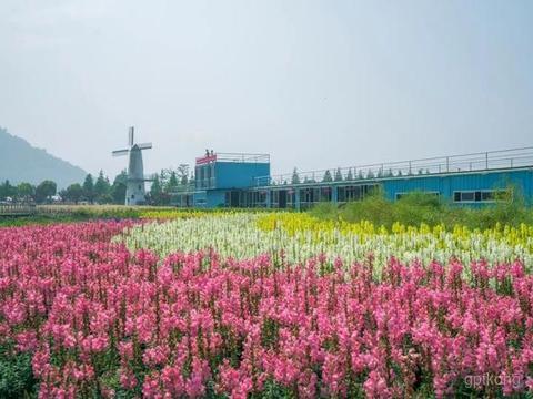 欢乐佳田农场展示图片6