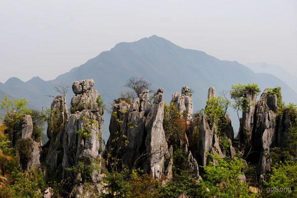 华蓥山黄花梨度假村展示图片2