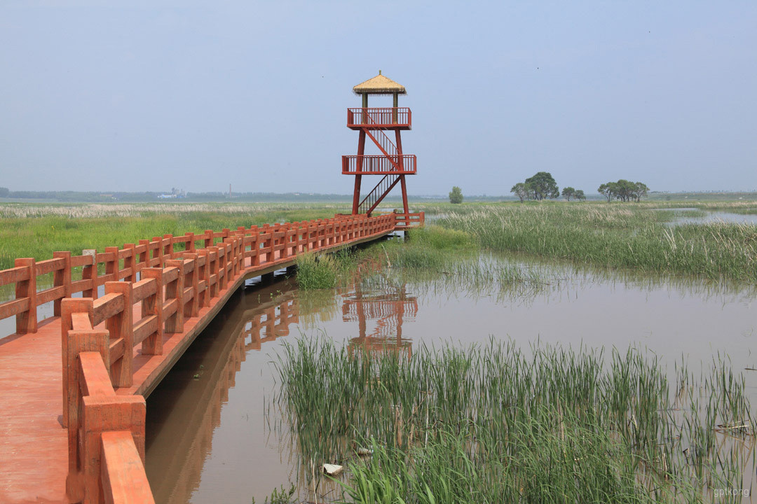 呼兰河口湿地风景区展示图片1