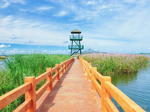 呼兰河口湿地风景区展示图片4