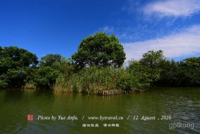 呼兰河口湿地风景区展示图片5