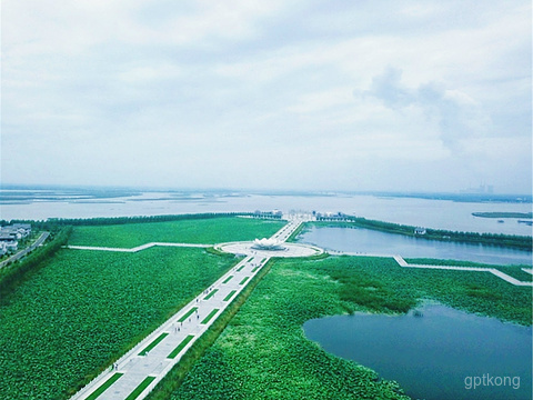 呼兰河口湿地风景区展示图片6