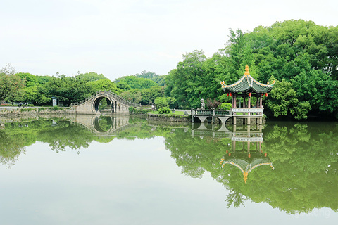 江心寺展示图片5